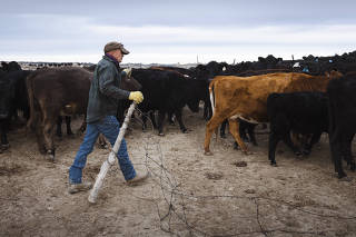 Steve Charter on his ranch outside Billings, Mont., Dec. 13, 2021. (Erin Schaff/The New York Times)