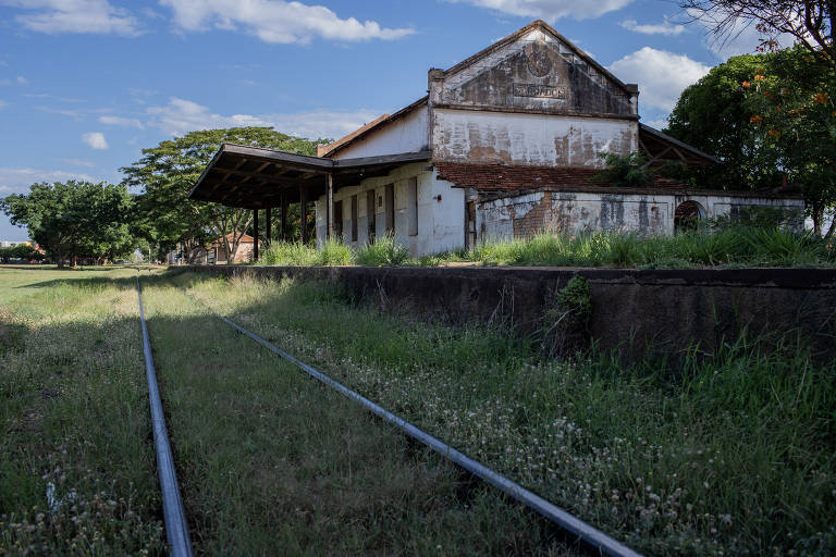 Trem da Morte: centenária estação que desenvolveu cidade paulista está tomada por pombos