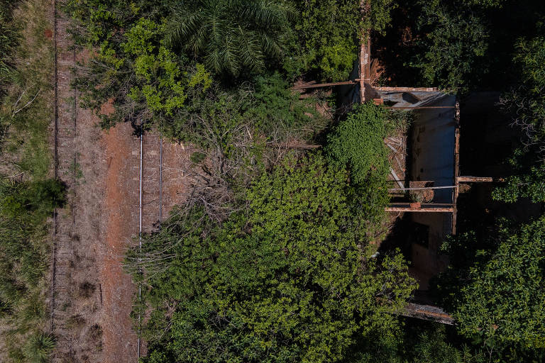 Estação de trem tomada pela vegetação em Ribas do Rio Pardo (MS)