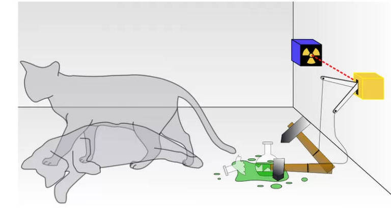 O experimento do gato de Schrödinger