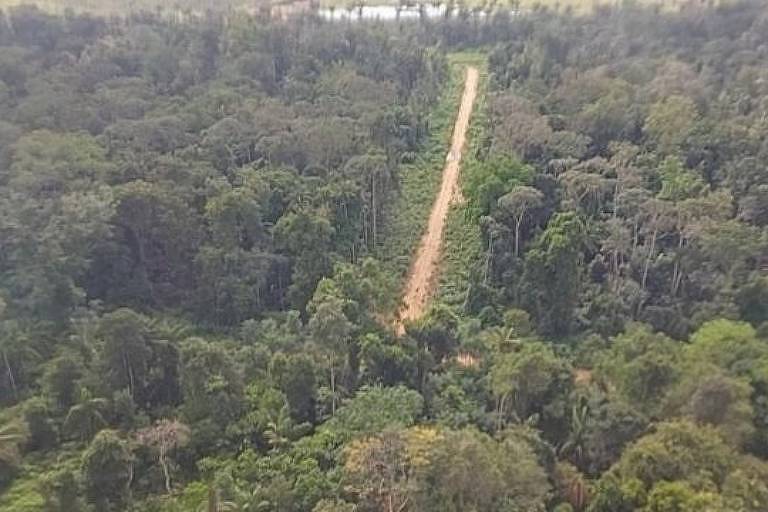 Imagem aérea mostra uma estrada de terra no meio de uma floresta