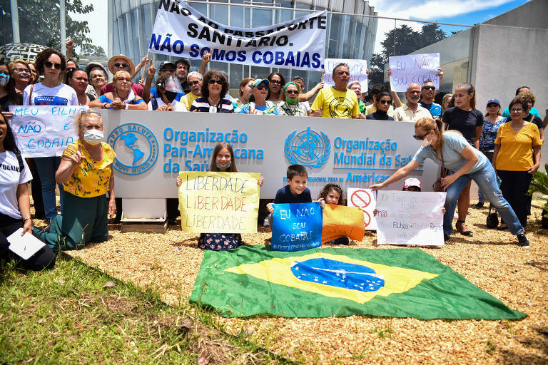 Audiência pública sobre vacinação infantil contra a Covid na Opas (Organização Pan-Americana da Saúde) 
