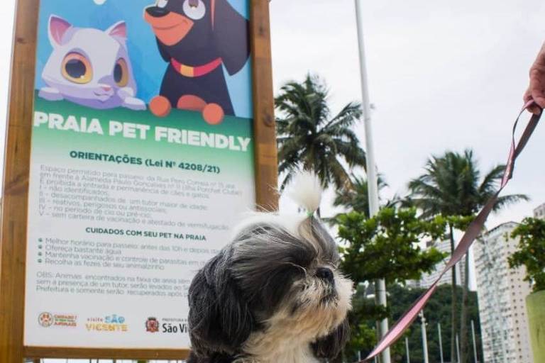 São Vicente (SP) cria espaço pet friendly em praia