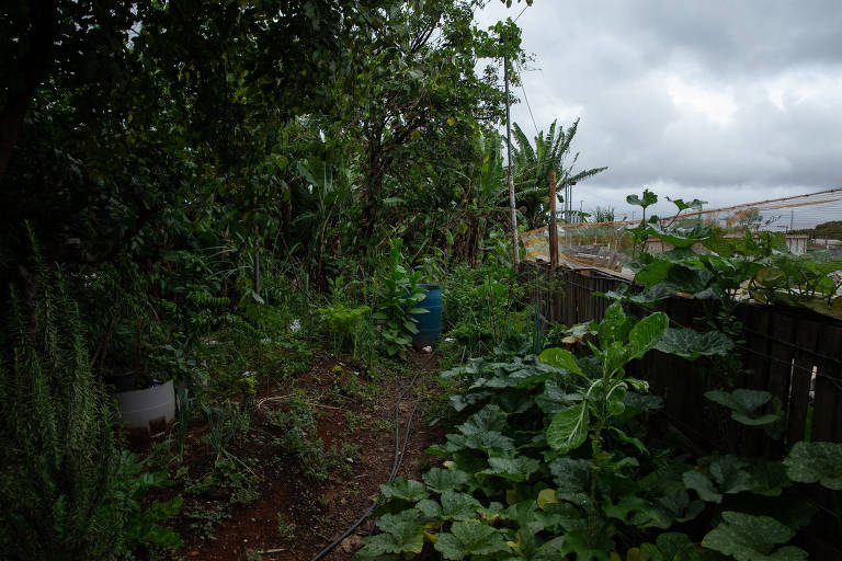 Decreto concedeu permissão de uso do terreno à escola de samba no último dia 3