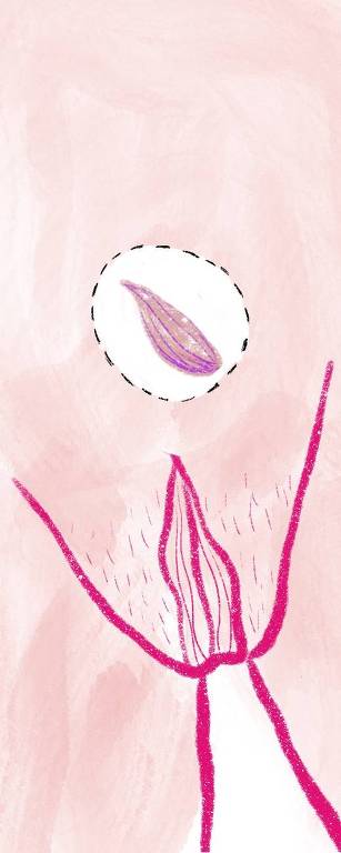 Ilustração representando uma vagina