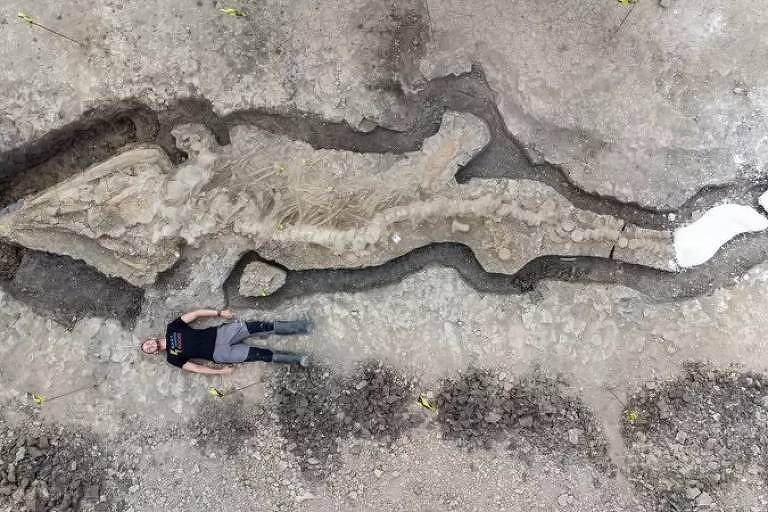 Imagem aérea mostra homem deitado no chão. Ao seu lado, está o fóssil de um dragão do mar gigante