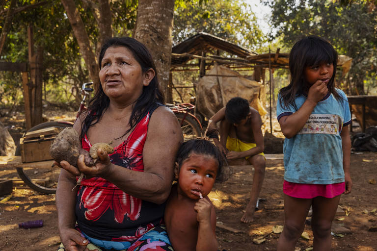 Lucibete Iurici mostra a sua produção de tubérculos, cercada pelos seus netos, na aldeia 13 de Maio na Terra Indígena Irantxe, no Mato Grosso