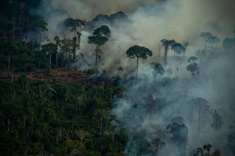 Fumaça subindo de um incêndio ilegal na floresta amazônica