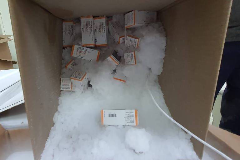 Doses de vacinas pediátricas da Pfizer chegam a Santa Catarina em caixa de papelão com gelo