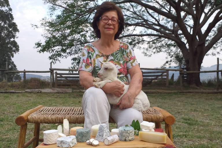 Produtores de queijo paulistas se aproximam mais da certificação estadual