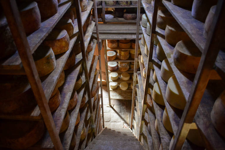 Queijos da Fazenda Atalaia em processo de maturação