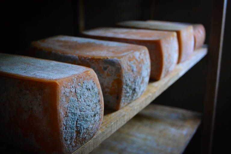 Queijo da Fazenda Atalaia, em Amparo