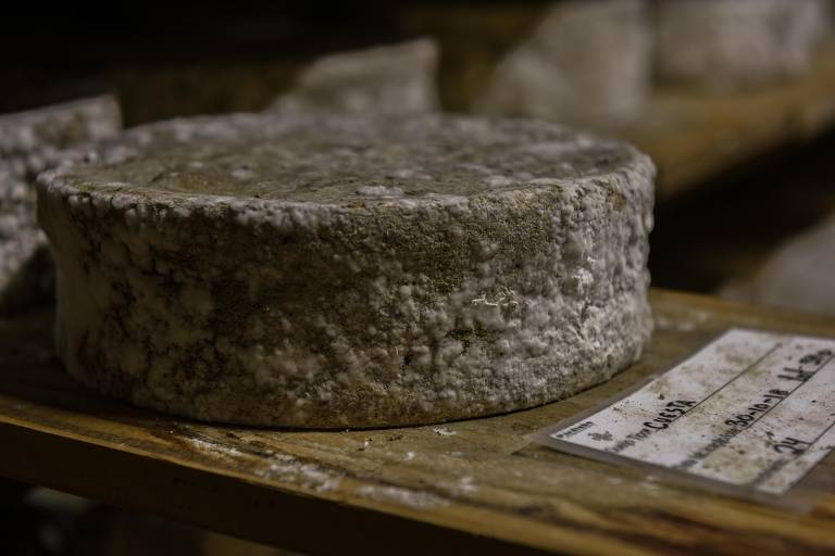 Pardinho Artesanal, medalha super ouro no Mondial du Fromage