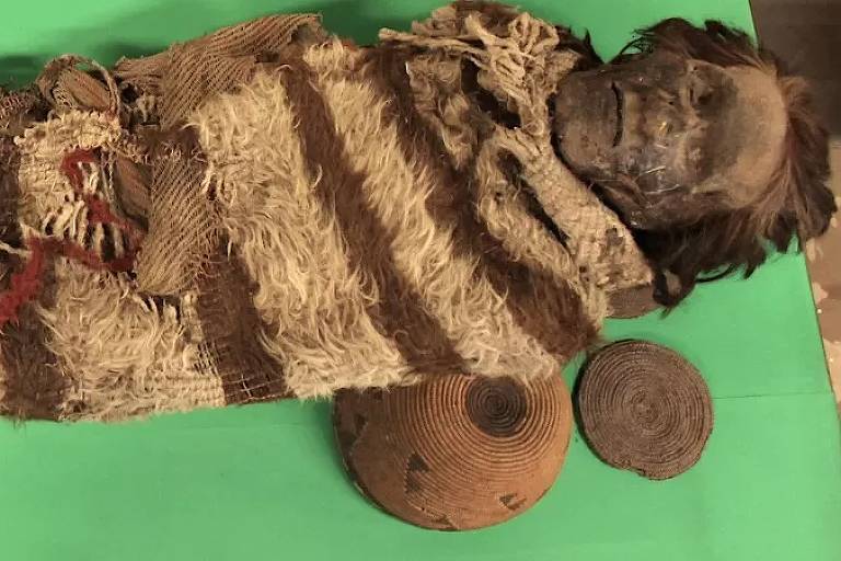 O que piolhos de múmias revelam sobre povos da América do Sul há 2.000 anos