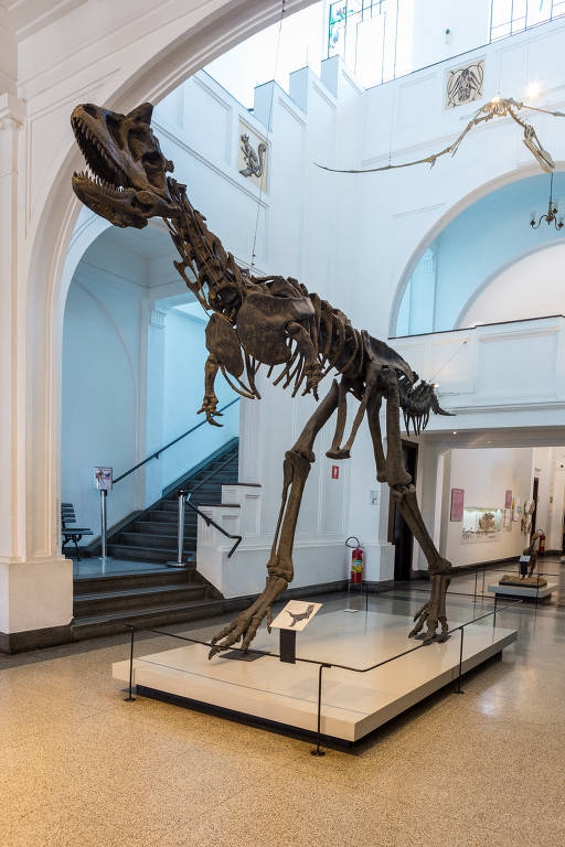 Reprodução do esqueleto de um Carnotauro em exposição no Museu de Zoologia da USP