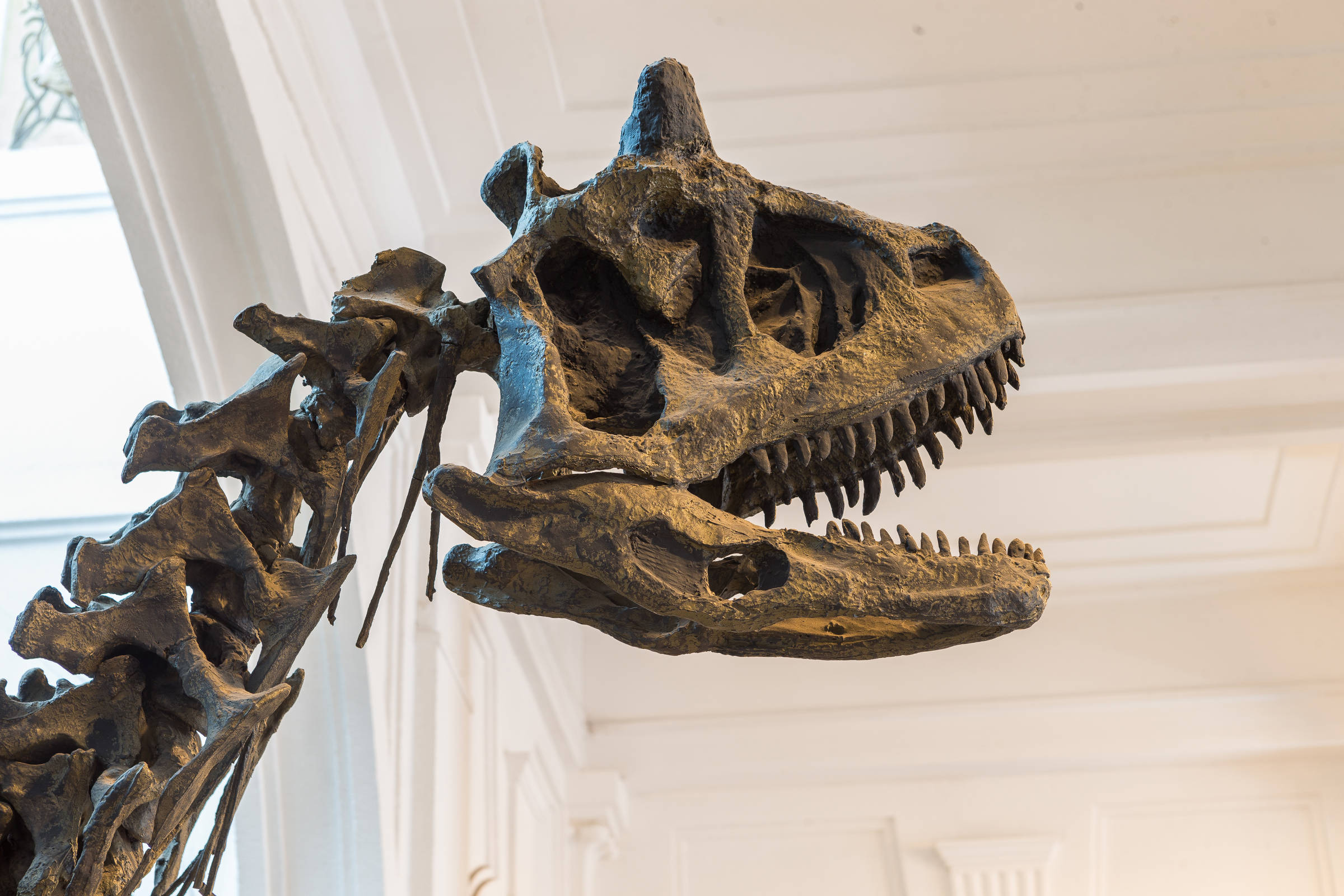 Dinossauro gigante, com 10 metros de altura, é atração em shopping