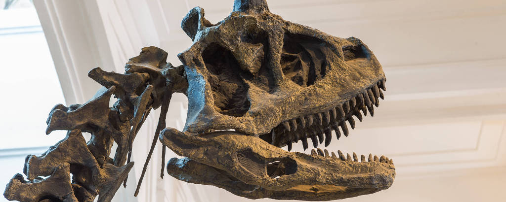 Representação de esqueleto de dinossauro no Museu de Zoologia da USP