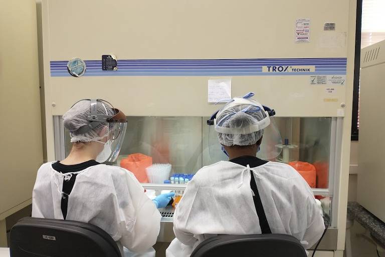 Profissionais da saúde em laboratório de biologia molecular do Hemocentro do HCFMB, da Unesp em Botucatu