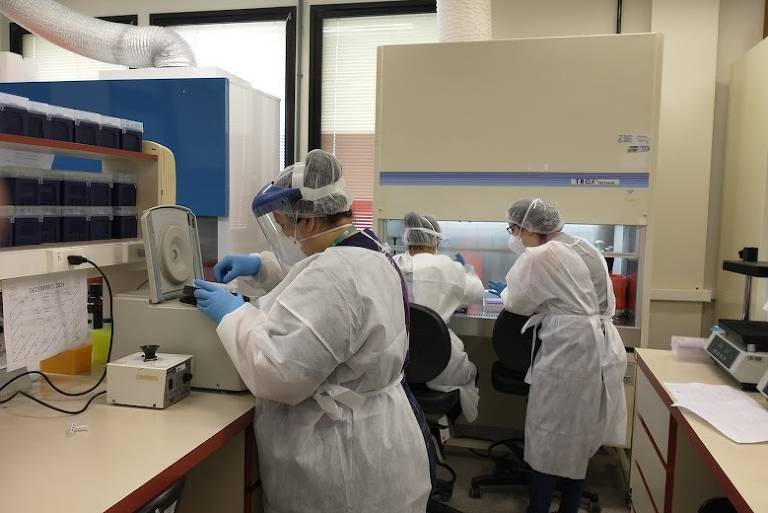 Profissionais da saúde em laboratório de biologia molecular do Hemocentro do HCFMB, da Unesp em Botucatu