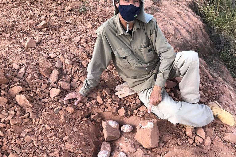 Paleontólogo encontra ovos de suposto dinossauro carnívoro no interior de SP