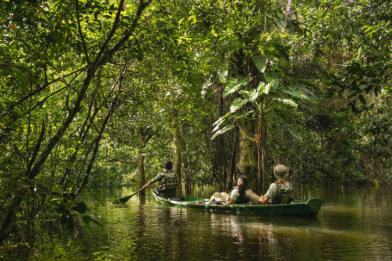 Duas pessoas numa canoa num igarapé na Amazônia