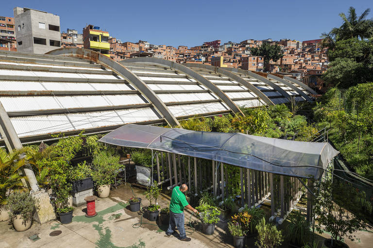 Ismael de Oliveira, 39, morador de Paraisópolis, rega hortaliças da horta vertical da favela 