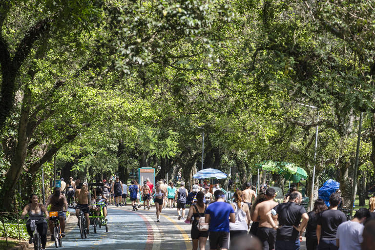 Público no parque Ibirapuera, que foi cedido à gestão privada
