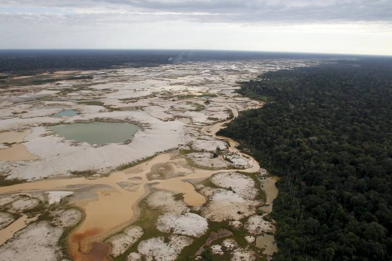 Mercúrio é detectado em níveis alarmantes na Amazônia peruana