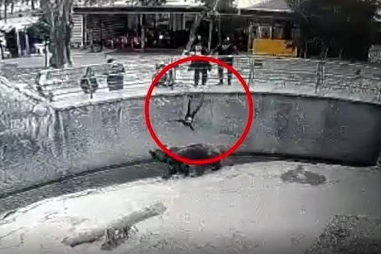 Câmeras flagram menina caindo em jaula de urso na na capital do Uzbequistão