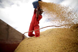 FILE PHOTO: A worker inspects soybeans during the soy harvest near the town of Campos Lindos