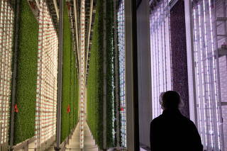 Plenty indoor vertical farm in South San Francisco, California