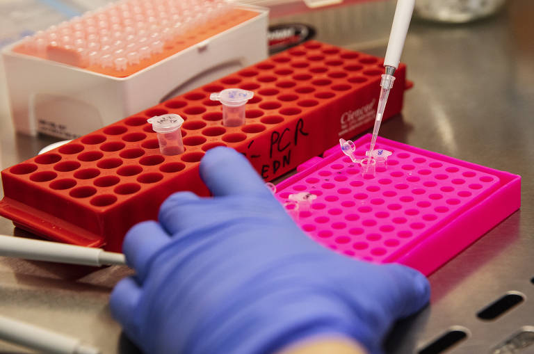 Oncologistas recomendam teste genético em mulheres diagnosticadas com câncer de mama até 65 anos