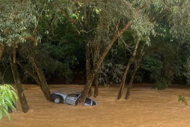 Mulher morre ao ter seu carro arrastado pelas águas na cidade de Cataguases; ele ficou preso entre as árvores