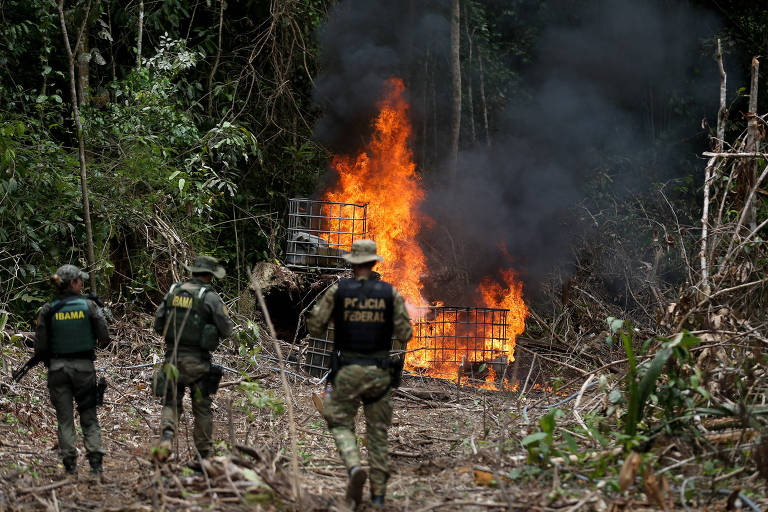 Oficiais da Polícia Federal e do Ibama em frente a material em chamas