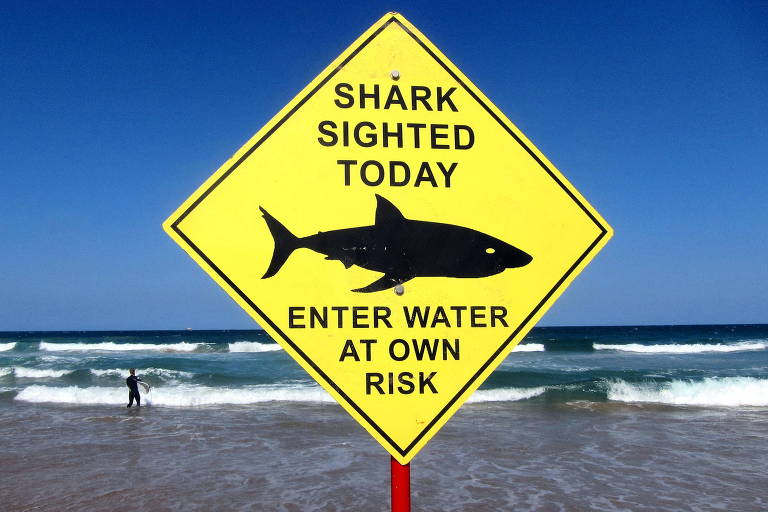 Tubarão mata banhista na Austrália em 1º ataque fatal em quase 60 anos
