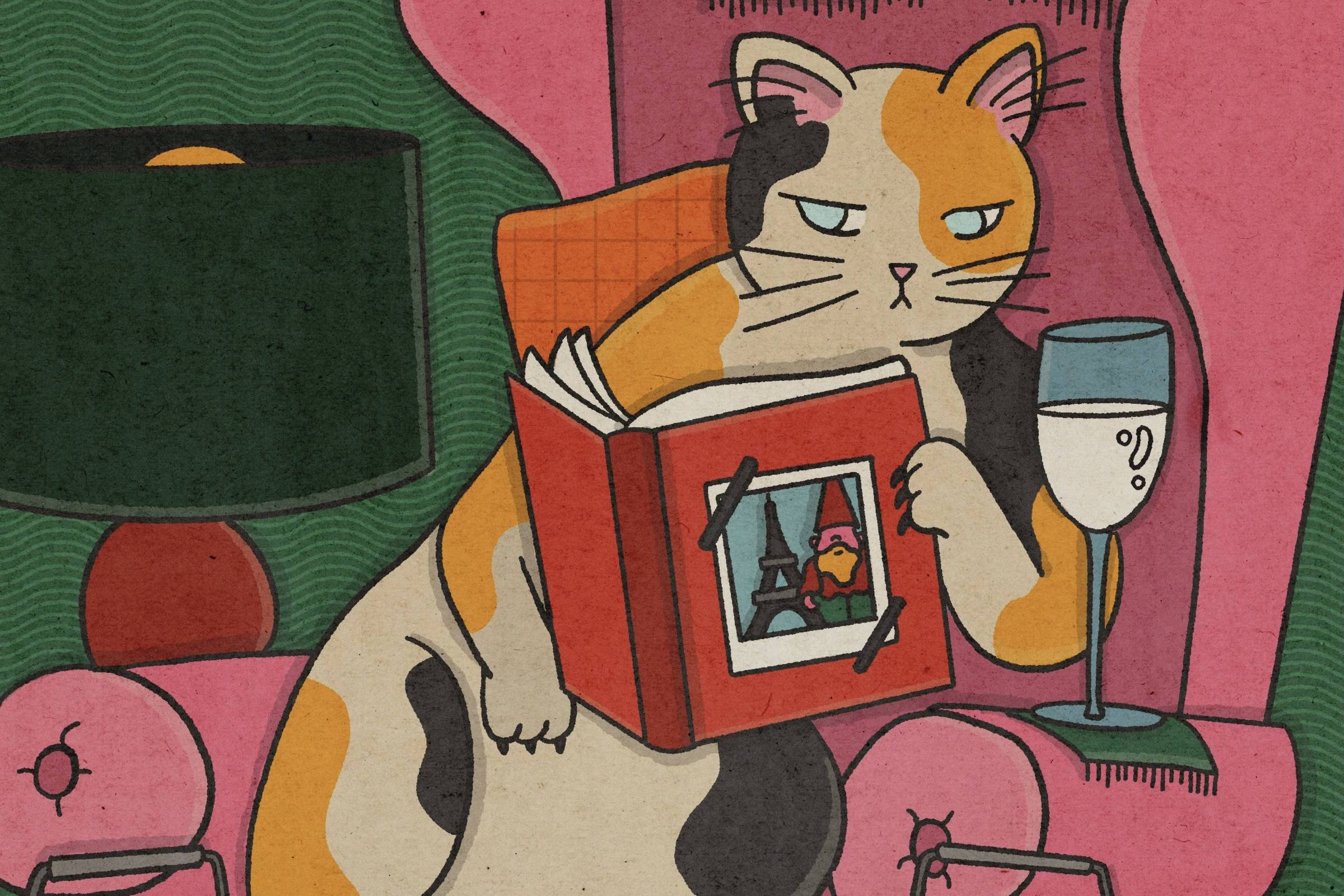 Dia Mundial do Gato: PetCenso destaca nomes inspirados em personagens  famosos
