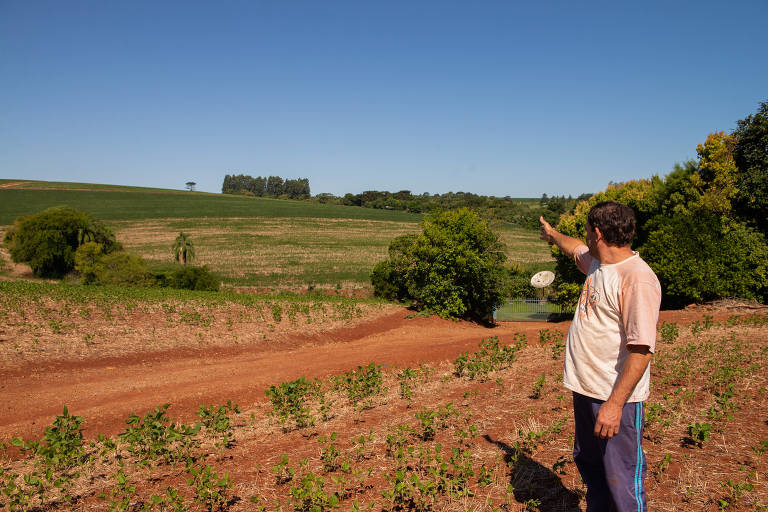 Derli Fath, 50, mostra lavoura de soja onde se pode ver a palha entre as plantas à distância. Normalmente, as plantas cobrem o solo nesta fase da safra