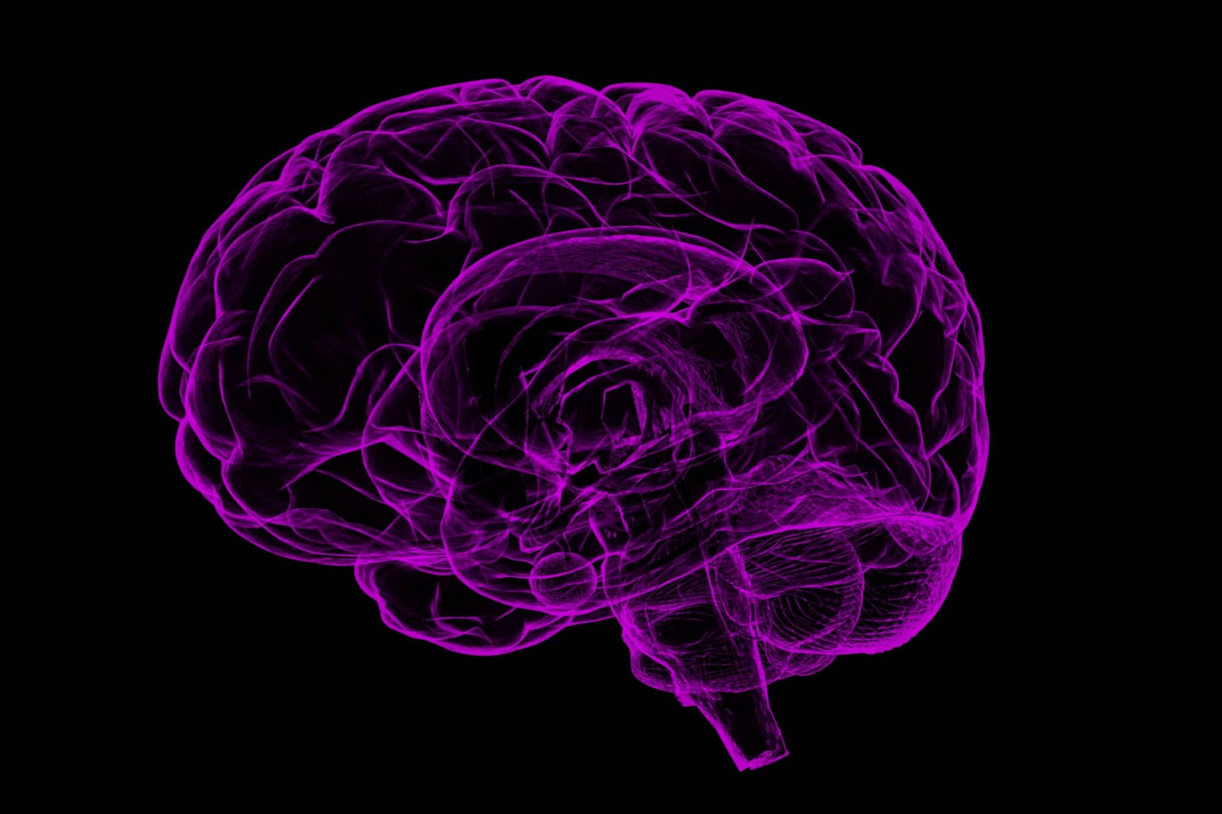 Pesquisa sobre um receptor no cérebro pode ajudar na luta contra dores neuropáticas