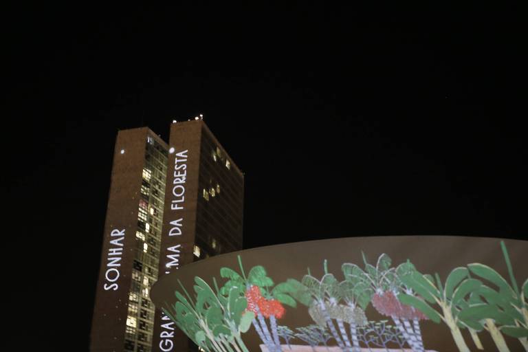 Intervenção artística com desenhos dos xapiri, os espíritos da floresta do povo Yanomami, marca a entrega de mais de 439 mil assinaturas recolhidas pela campanha #ForaGarimpoForaCovid, no Congresso, em Brasília, em 3/12/2020