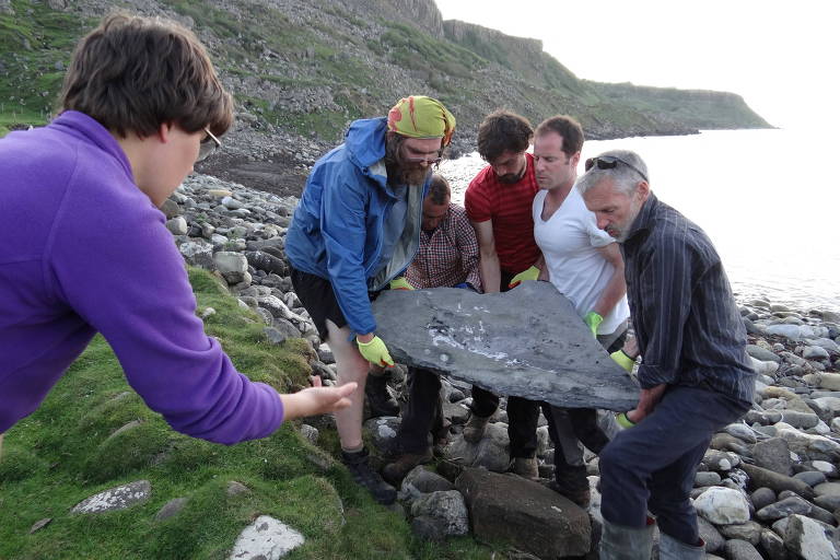 Pesquisadores carregam parte do fóssil de um réptil voador do período jurássico