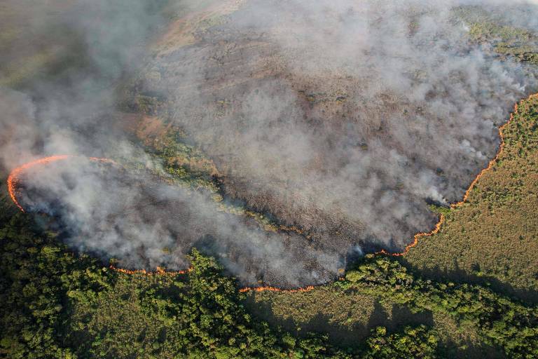 Incêndios florestais extremos devem aumentar mais de 50% até o fim do século, alerta ONU