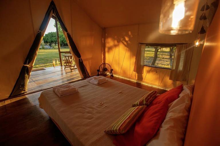 Interior da tenda do Entre Acequias, onde é possível acompanhar o cultivo de uvas e damascos