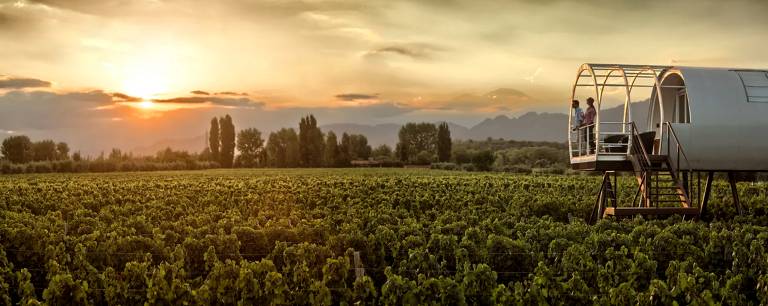 Suíte-cápsula do Entre Cielos se projeta sobre as videiras