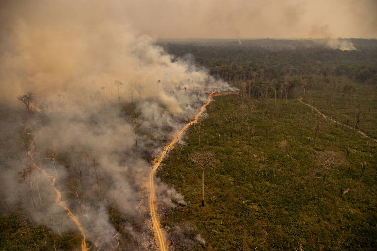 Foto mostra visão aérea de incêndio na floresta amazônica em Rondônia, com uma nuvem de fumaça.
