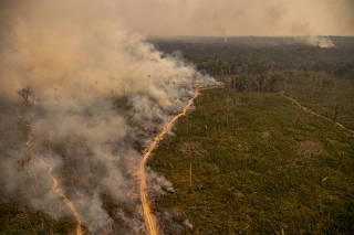Fire Moratorium - Deforestation and Fire Monitoring in the Amazon
Moratória do Fogo - Monitoramento de Desmatamento e Queimadas na Amazônia em Agosto de 2020