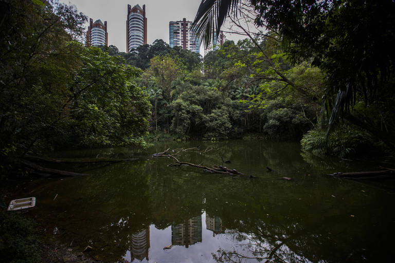 Lago do parque Burle Marx, em São Paulo