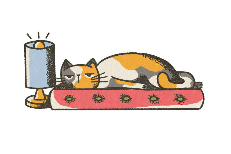 Ilustração colorida mostra uma gatinha de três cores deitada em uma caminha ao lado de um abajur