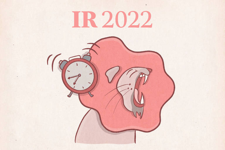 Veja como declarar o Imposto de Renda 2022 em 30 minutos