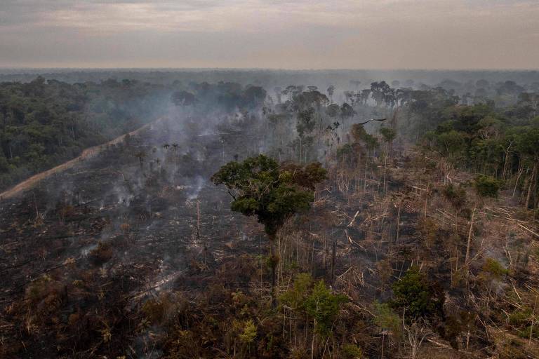 Uma floresta no centro da foto; áreas desmatadas em volta e fumaça