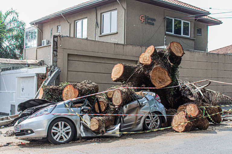 árvore caída sobre carro todo amaçado com casa ao fundo